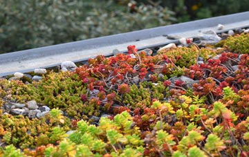 the cost of Newmans Green green roof installation