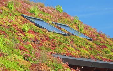 Newmans Green living roof systems