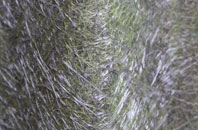 Newmans Green fibreglass roof work