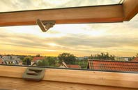 rated Newmans Green roof window companies